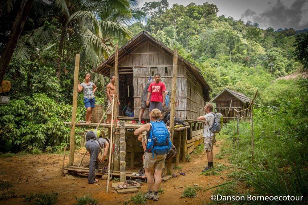 Borneo Eco Tourism